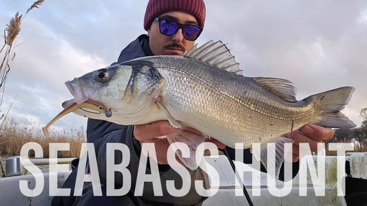 CACCIA ALLA SPIGOLA.