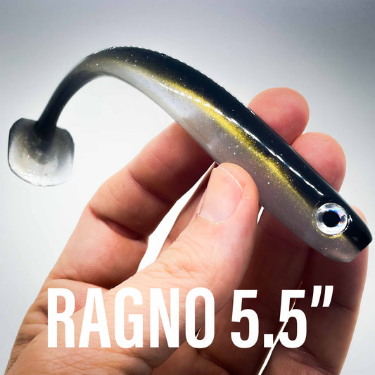 SR 5.5" Ragno