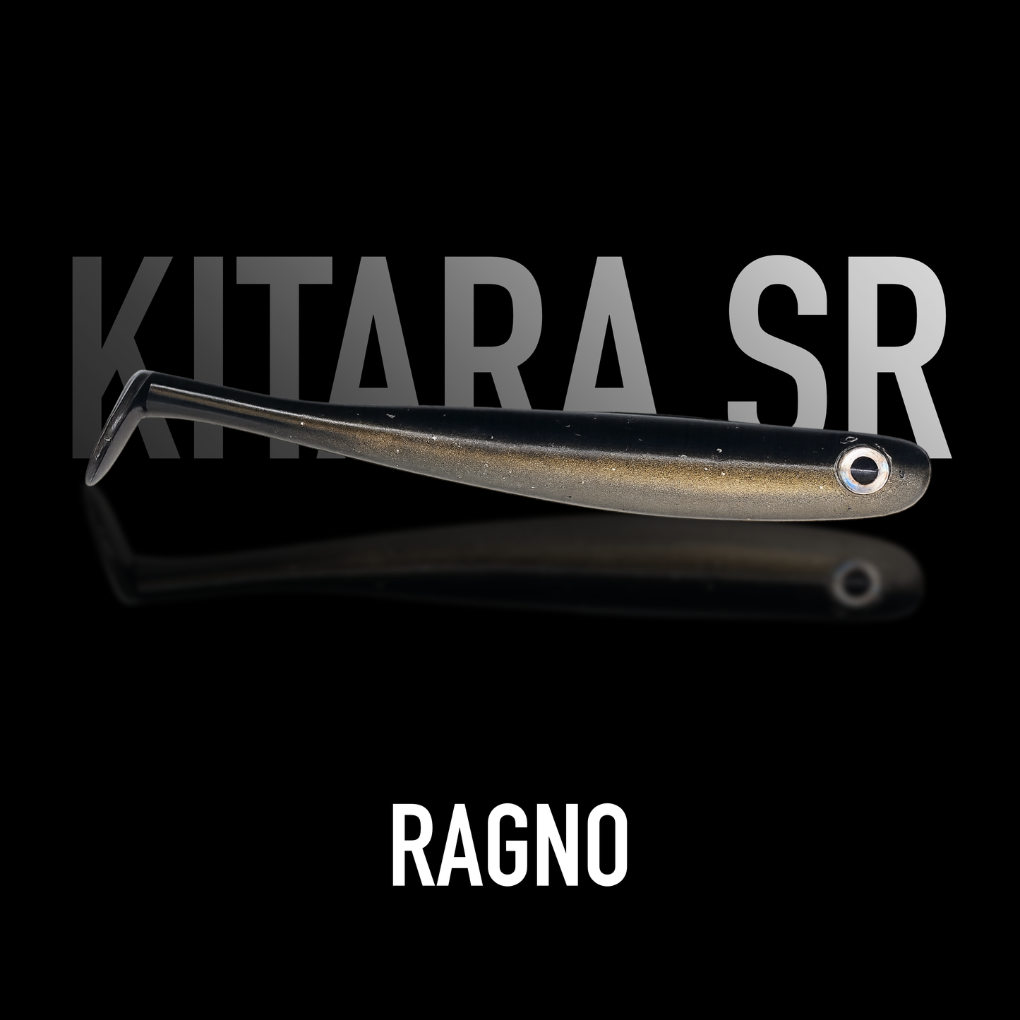 SR Ragno