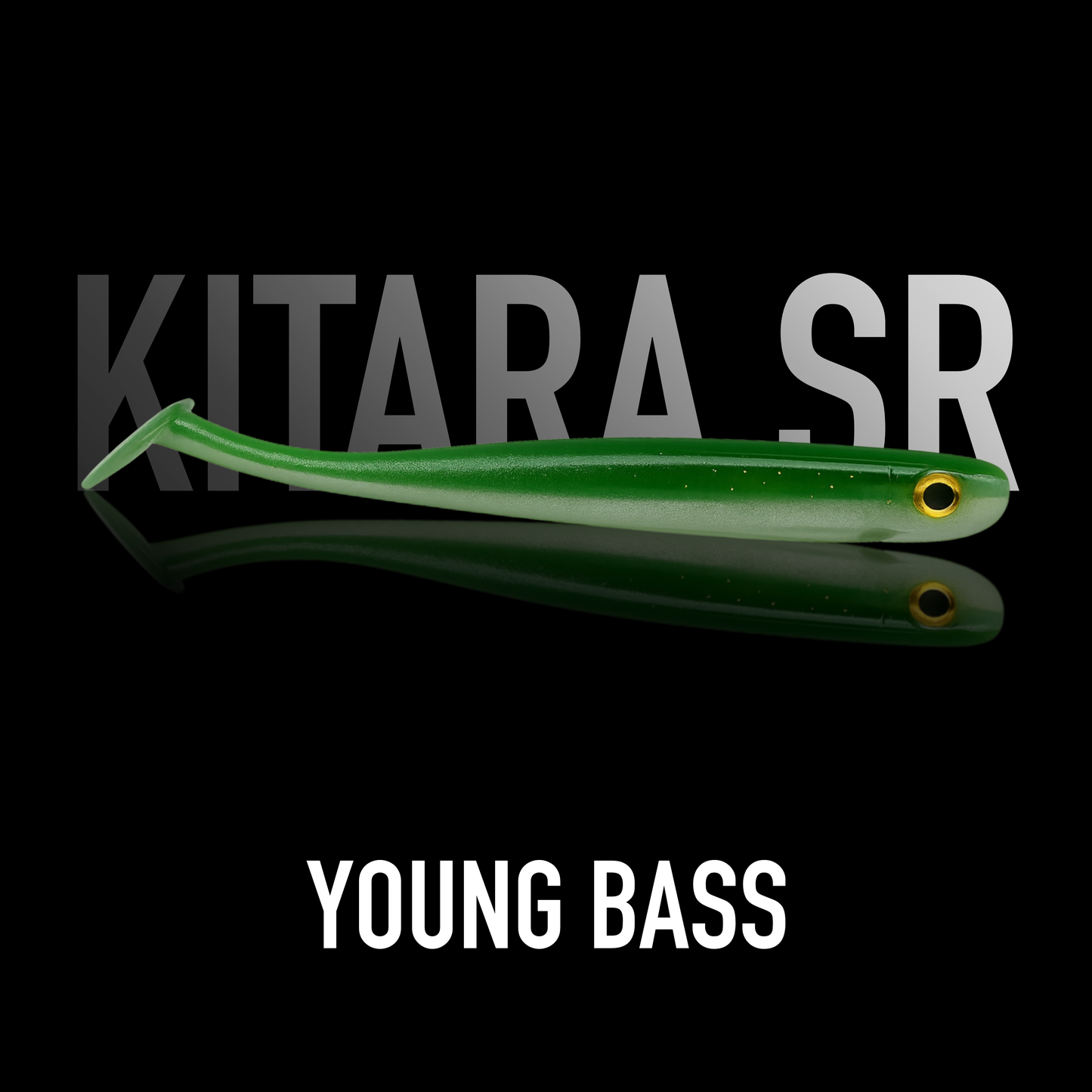 SR Young Bass