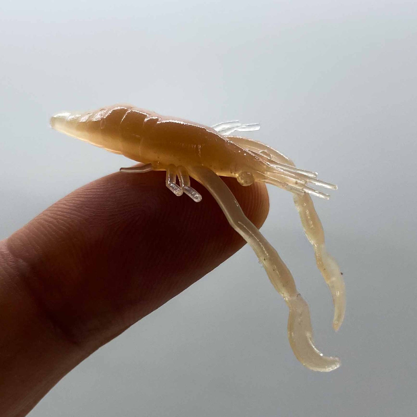 Krill