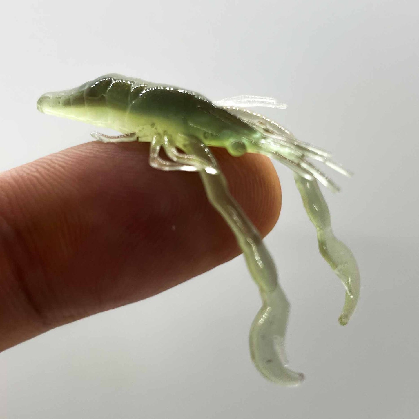 Krill