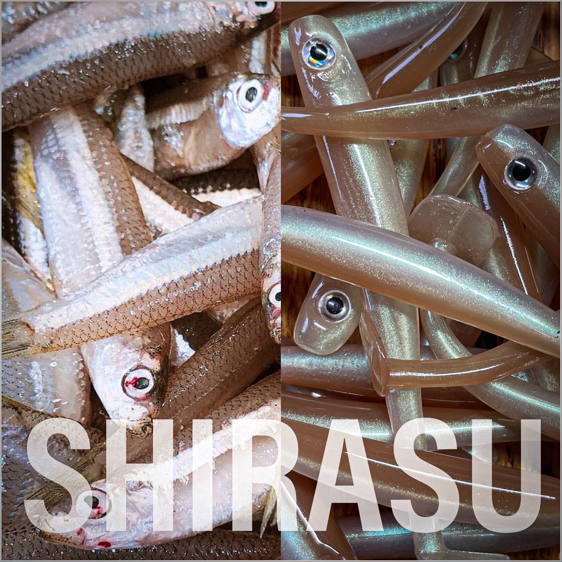 SR Shirasu | Just Fish