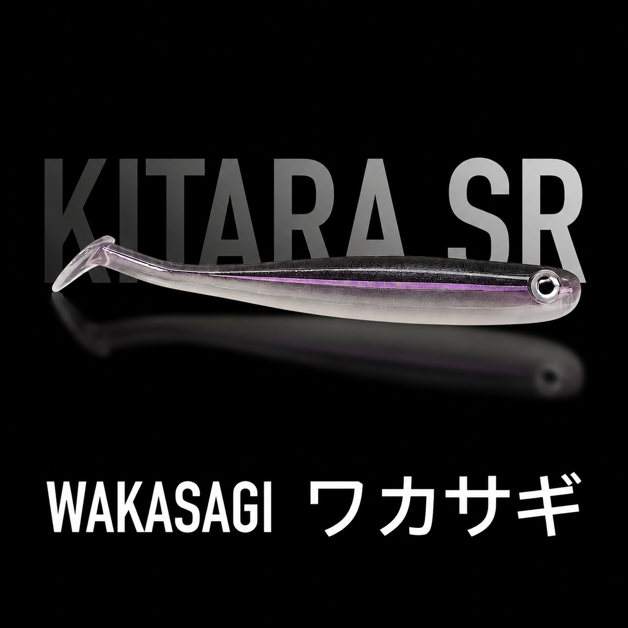 SR Wakasagi