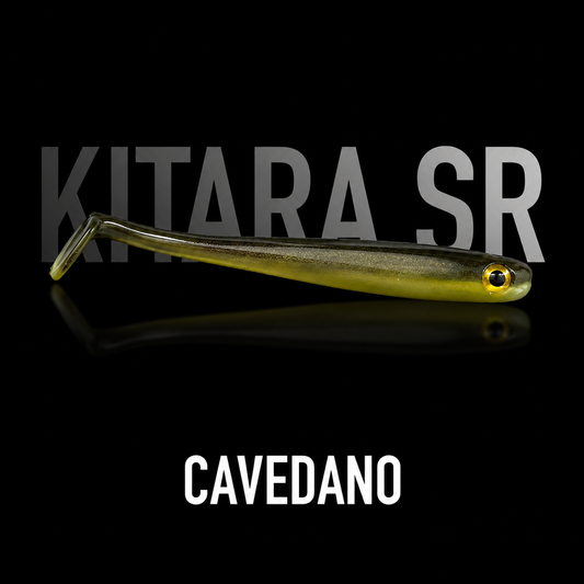 SR Cavedano