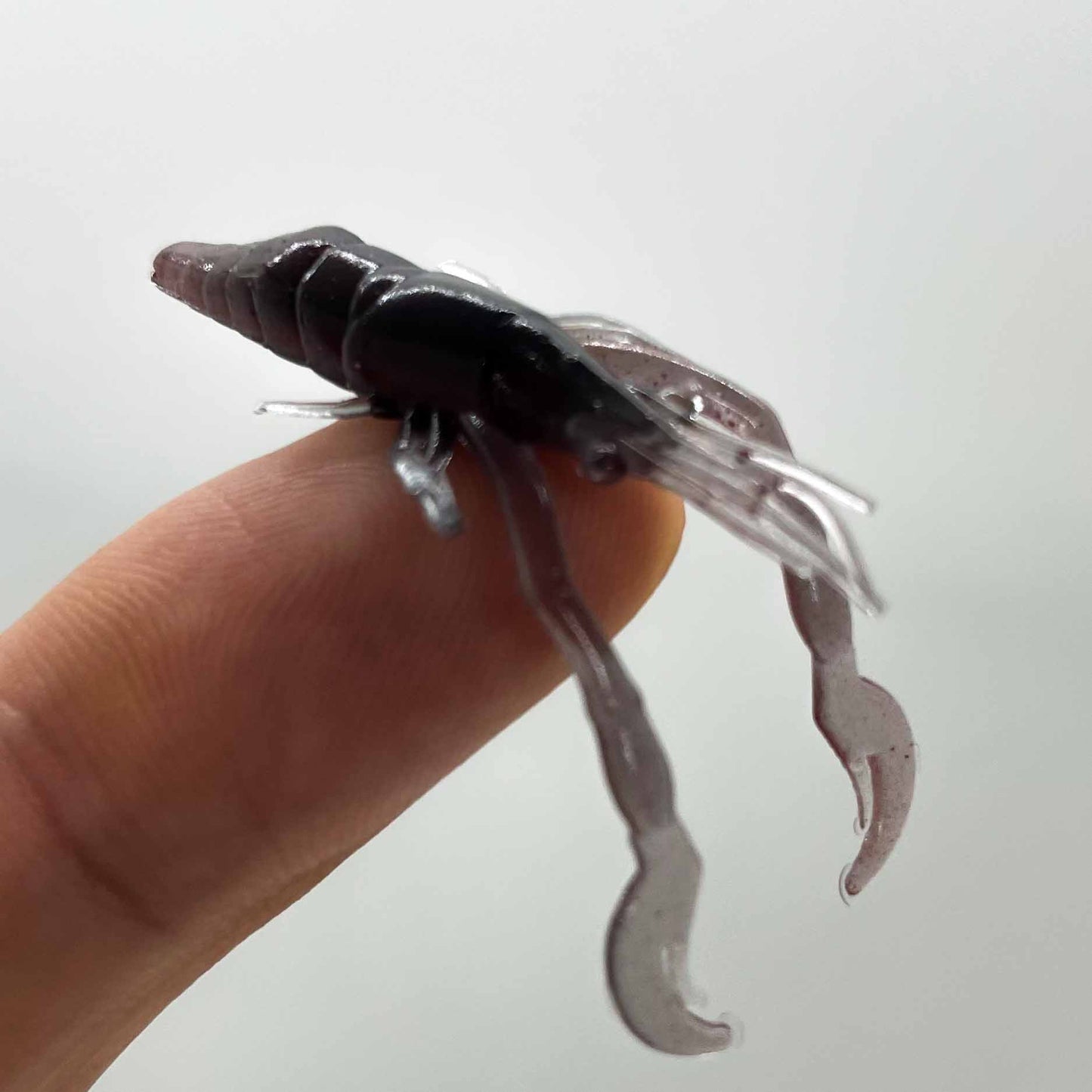 Krill