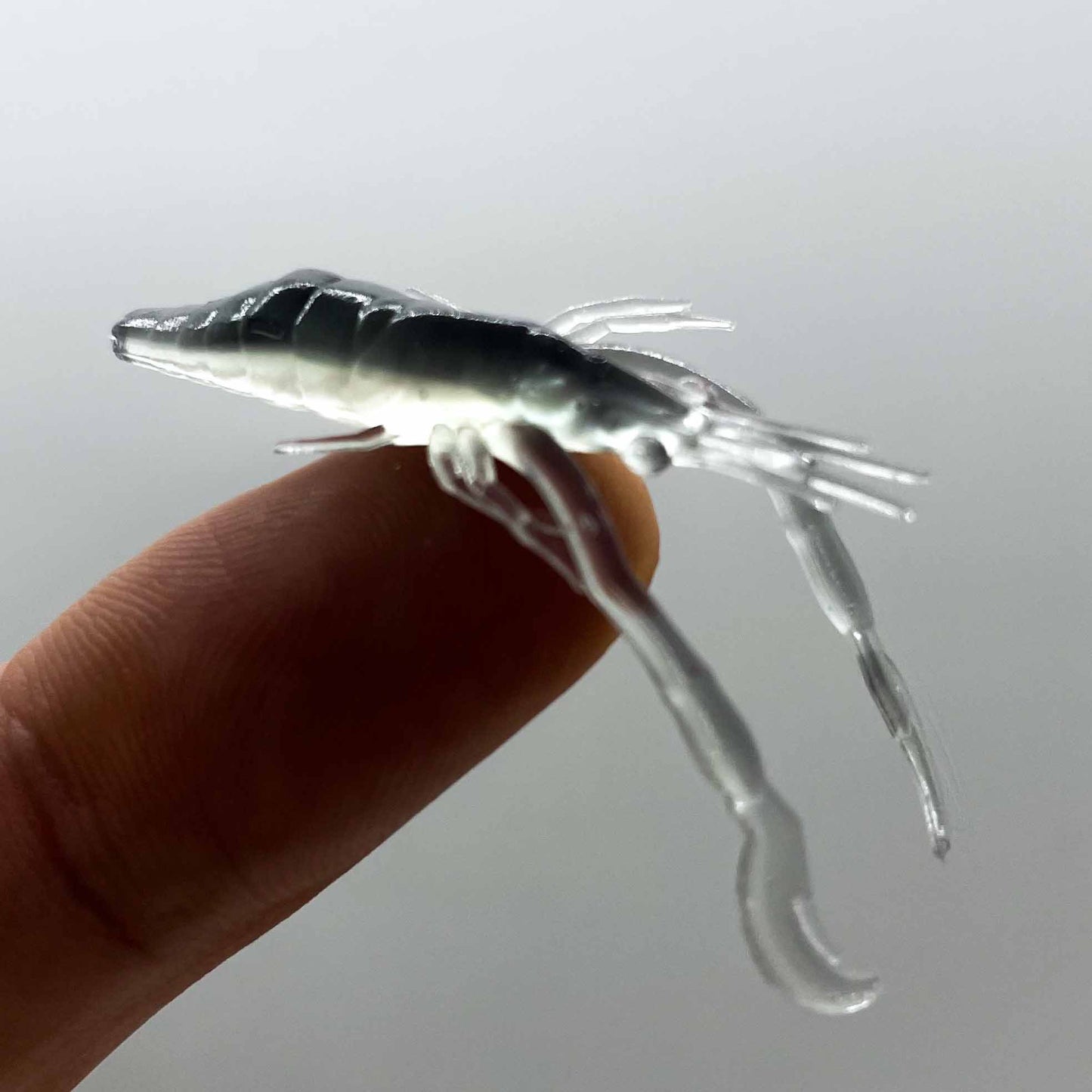 Krill