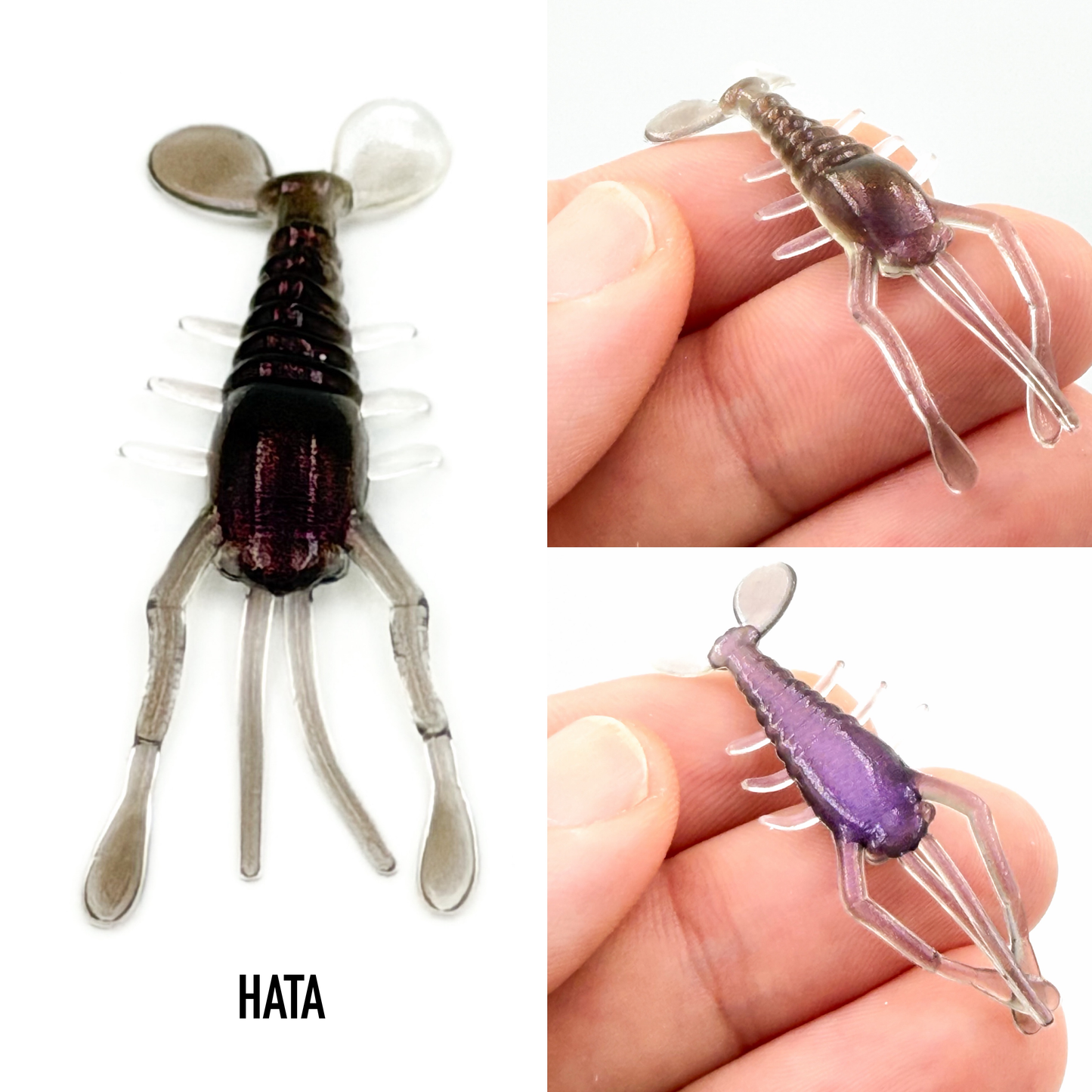 Krill