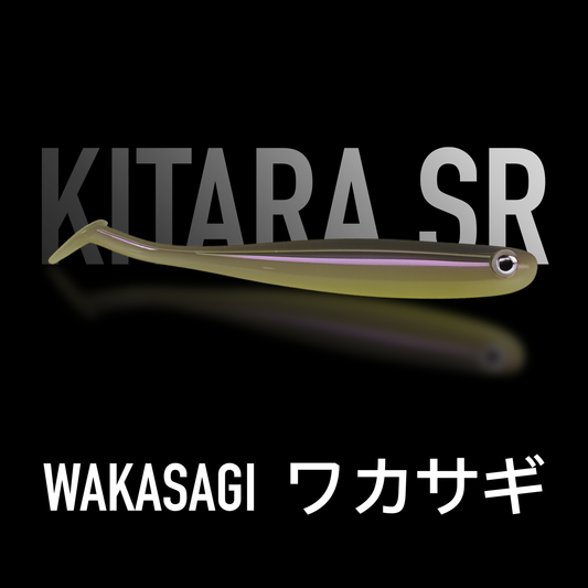 SR Wakasagi