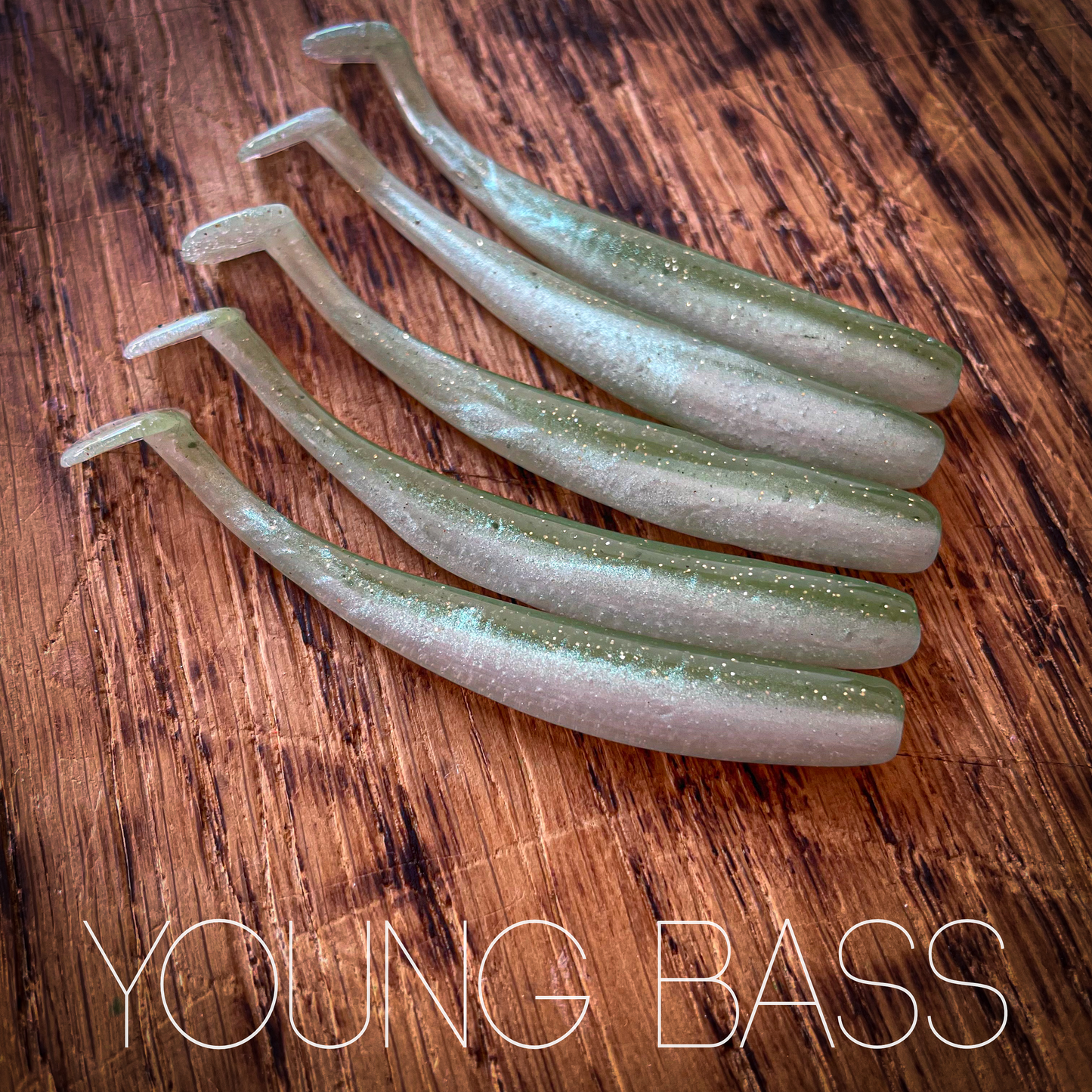 SR Young Bass