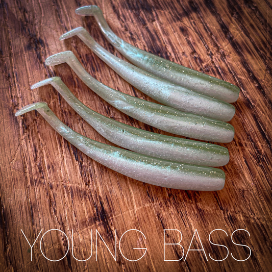 SR Young Bass